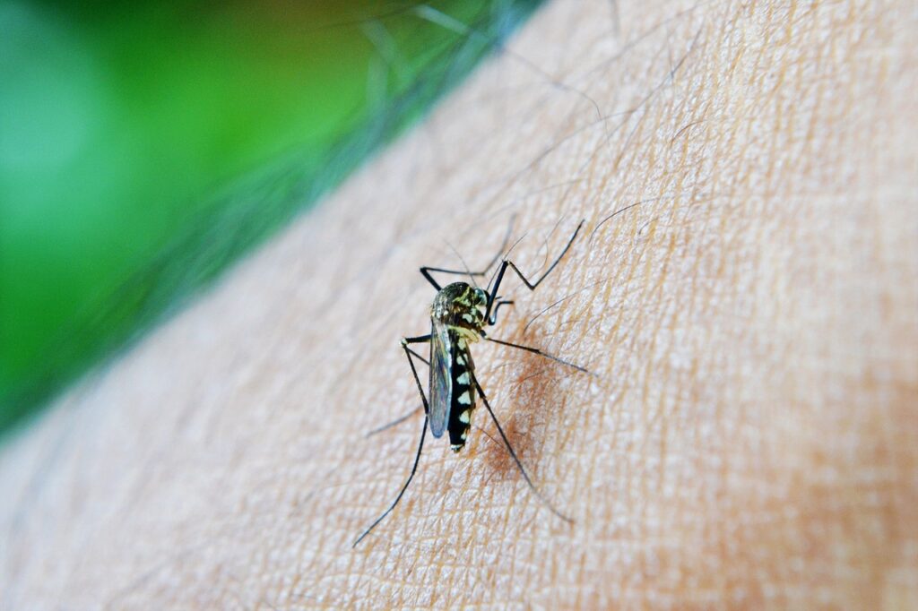 Mosquito control assessment Omaha